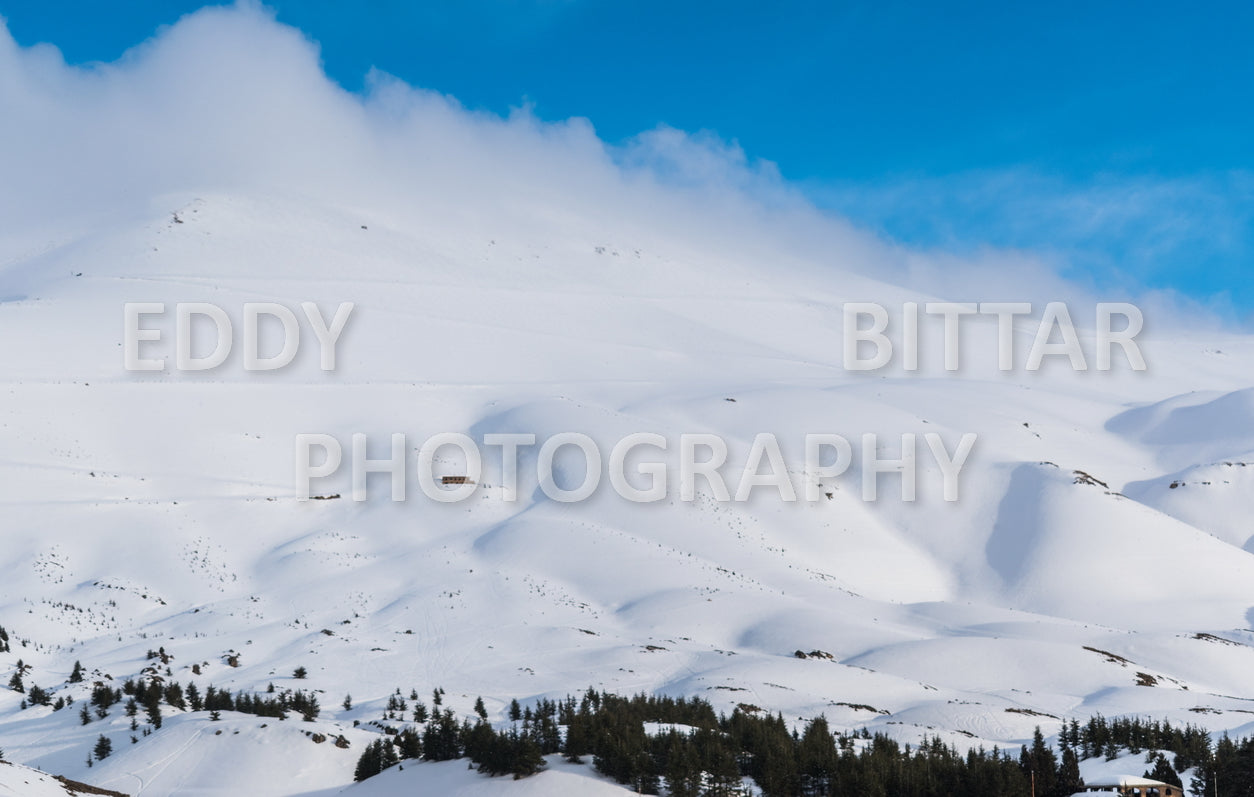 Snow-covered mountains in the Cedars