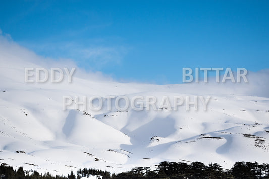 Snow-covered mountains in the Cedars