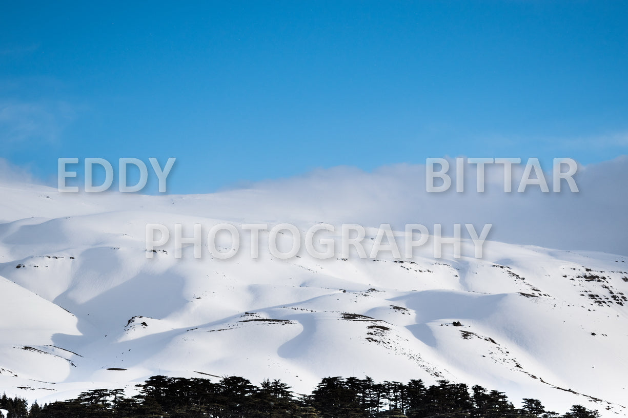 Snow-covered mountains in the Cedars