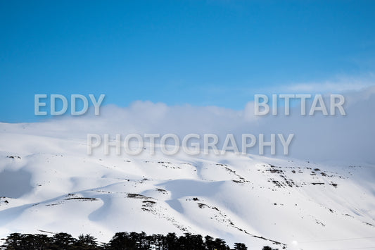 Snow-covered mountains in the Cedars