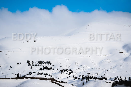 Snow-covered mountains in the Cedars