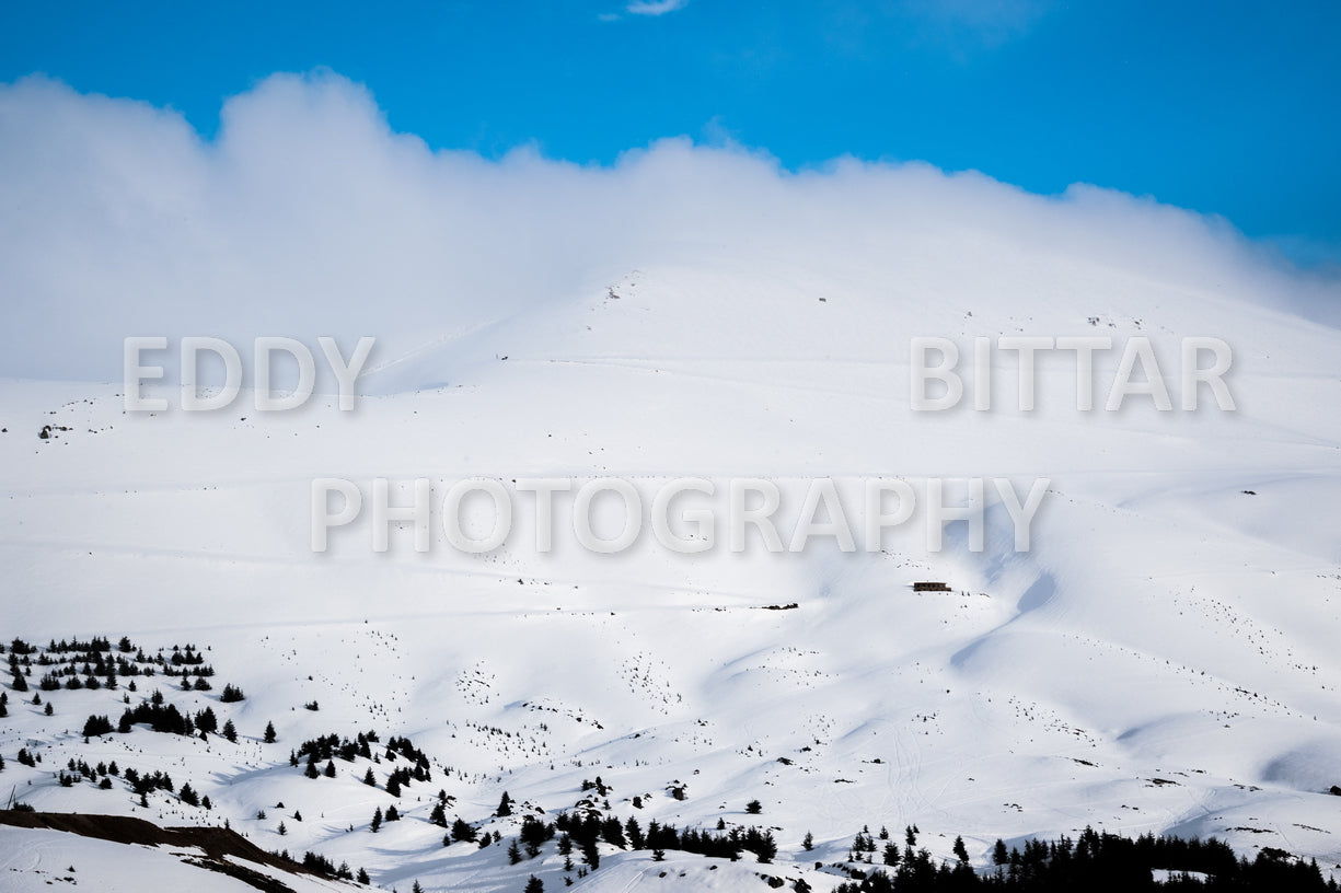 Snow-covered mountains in the Cedars