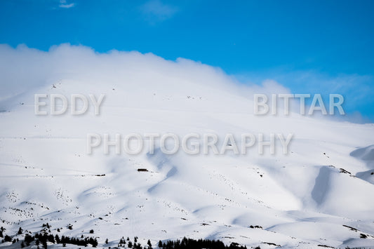 Snow-covered mountains in the Cedars