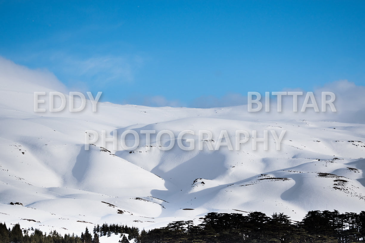 Snow-covered mountains in the Cedars