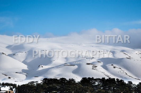 Snow-covered mountains in the Cedars