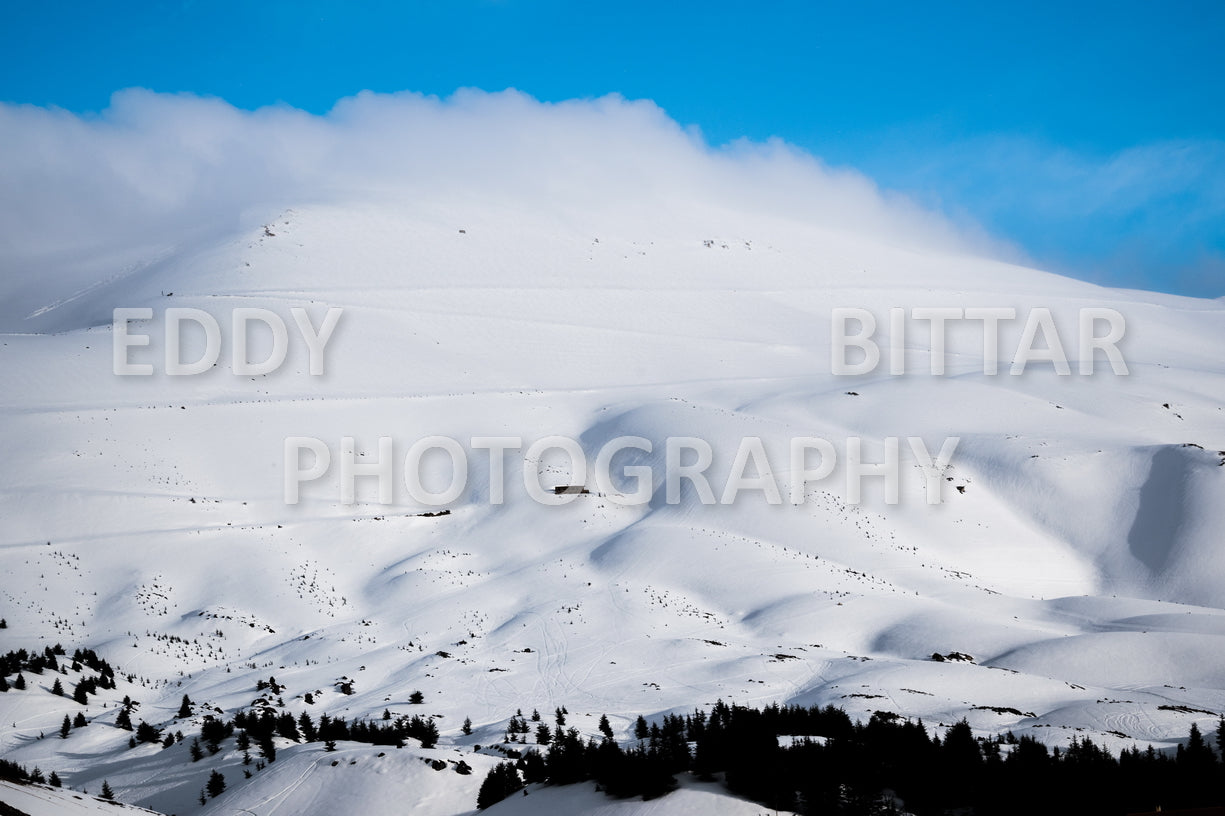 Snow-covered mountains in the Cedars