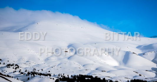 Snow-covered mountains in the Cedars Panoramic