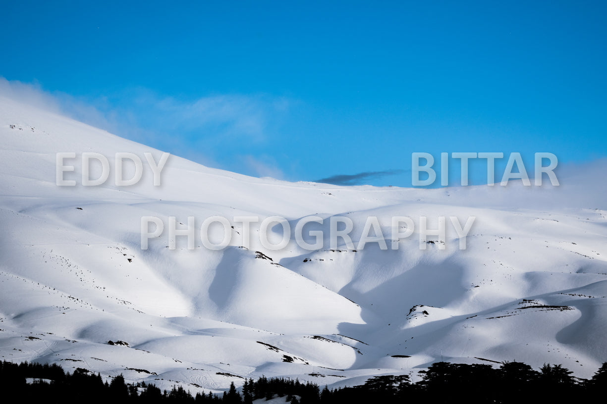 Snow-covered mountains in the Cedars