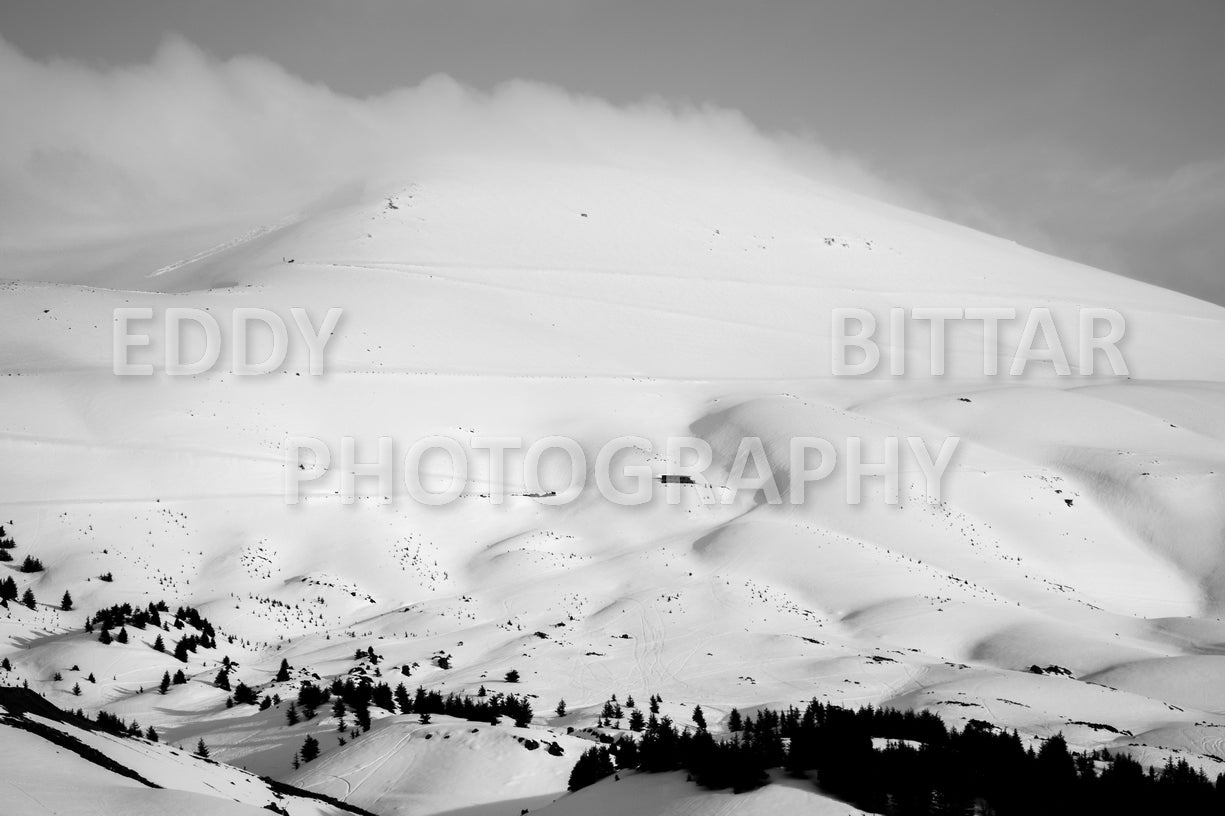 Snow-covered mountains in the Cedars