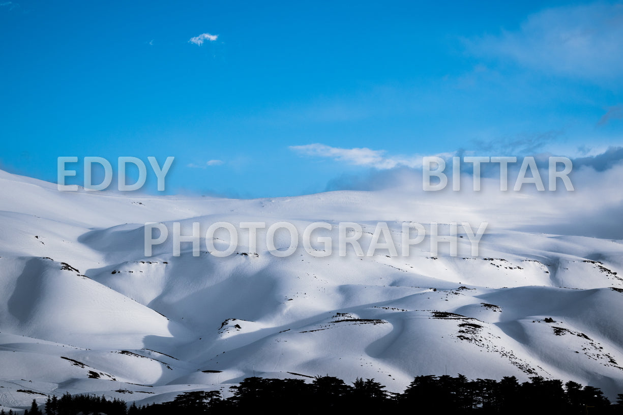 Snow-covered mountains in the Cedars