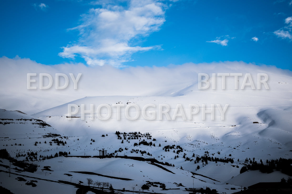 Snow-covered mountains in the Cedars