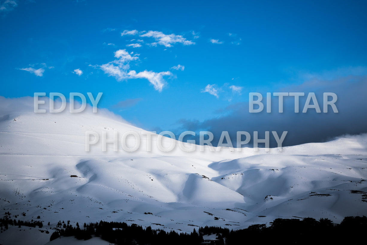 Snow-covered mountains in the Cedars