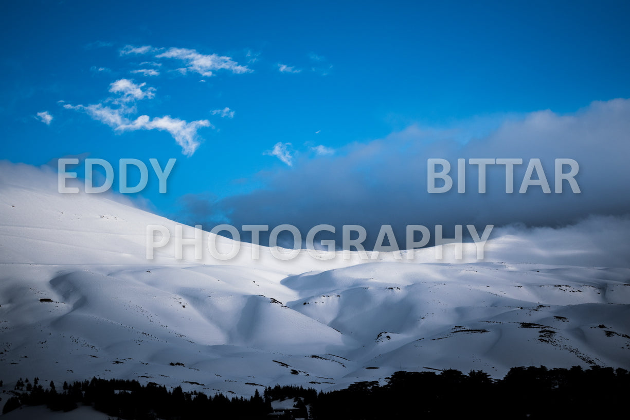 Snow-covered mountains in the Cedars