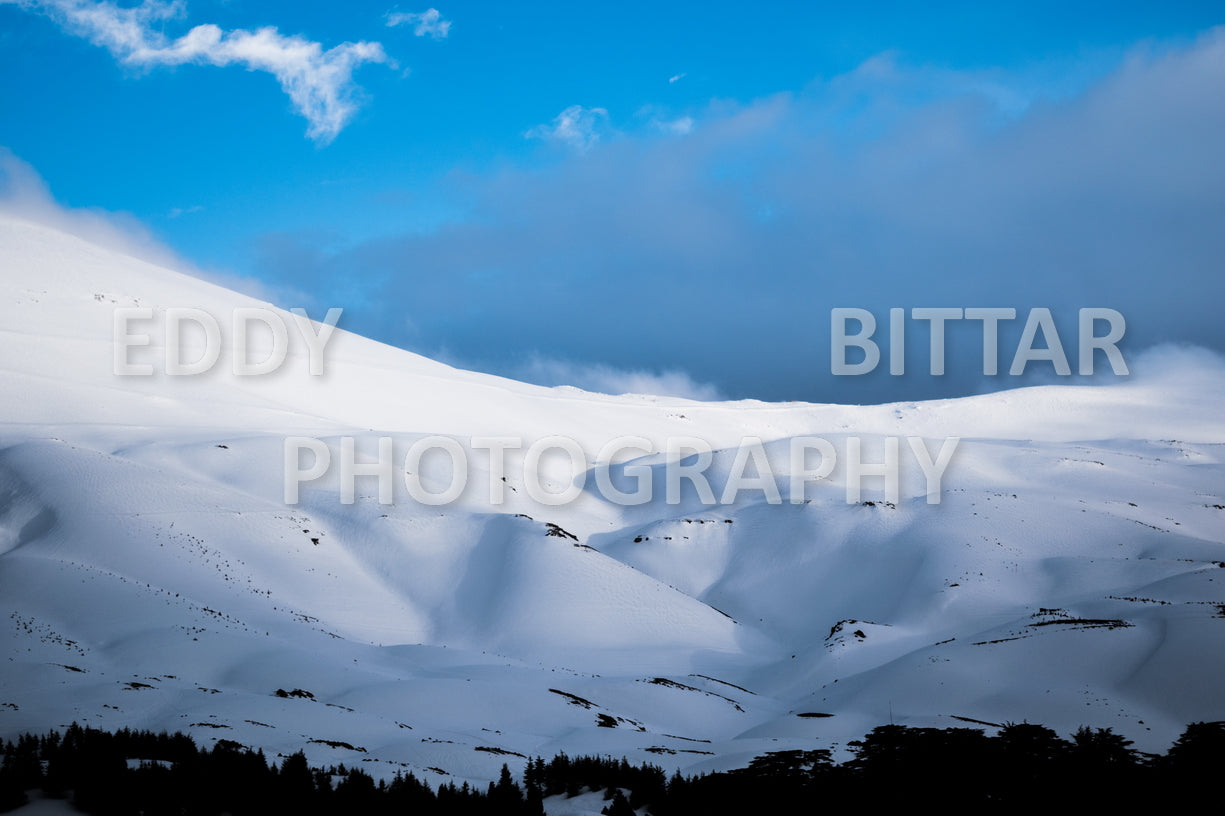 Snow-covered mountains in the Cedars