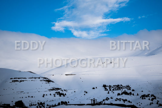 Snow-covered mountains in the Cedars